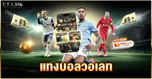 แทงบอลวอเลท ไปกับเว็บแทงบอล ufa356 แทงผ่านวอเลทได้ 24 ชม.